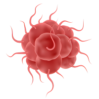 Virus 3